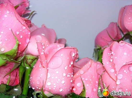 20 фото: открытки