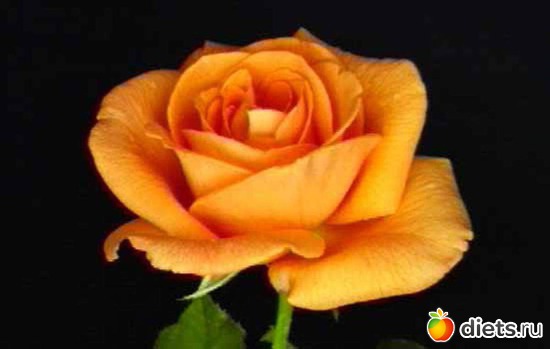 22 фото: открытки