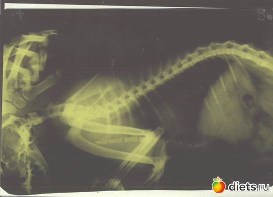 1 фото: Разное