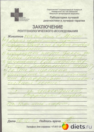 2 фото: Разное