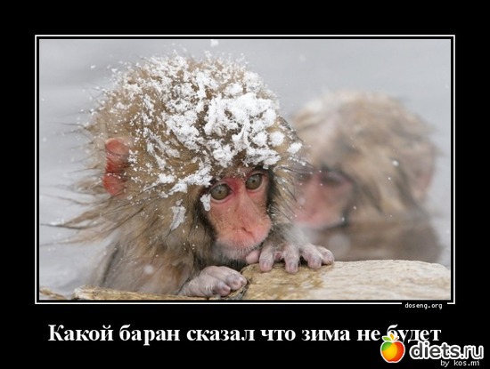 2 ����: ���� �� �����