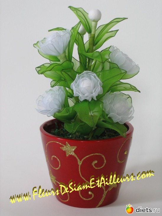 35 ����: �������