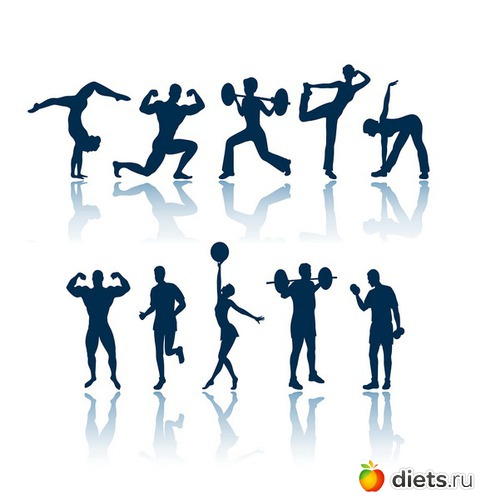 13 ����: ����������