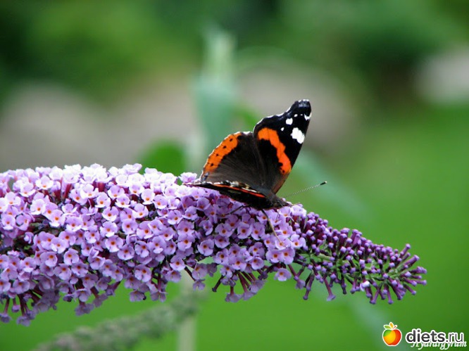 25 фото: Разные картинки