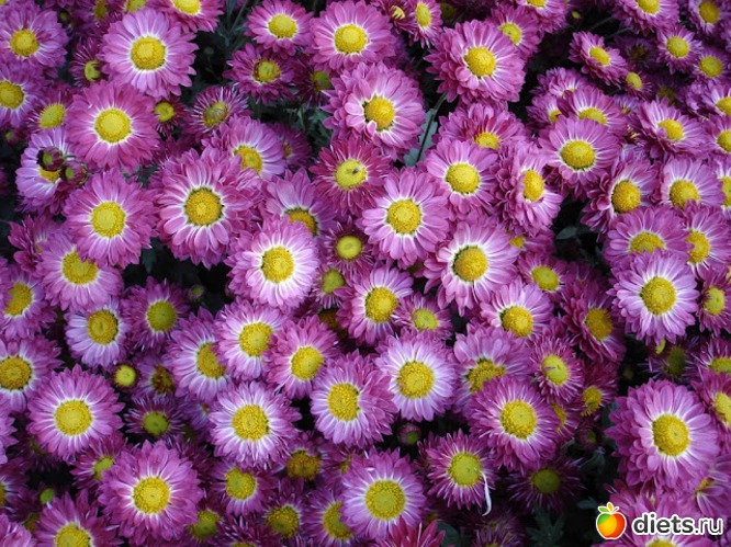 27 фото: Разные картинки