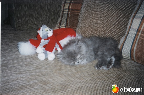 после встречи Нового года, альбом: Моя кошечка-Мишель