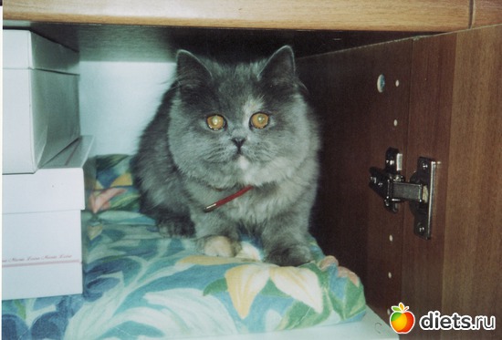 ����� ��������� � ������, ������: ��� �������-������