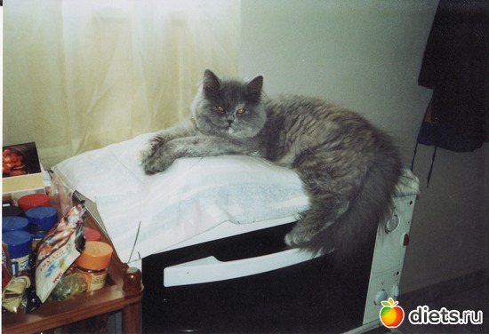 5 ����: ��� �������-������