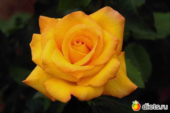 3 фото: Разное