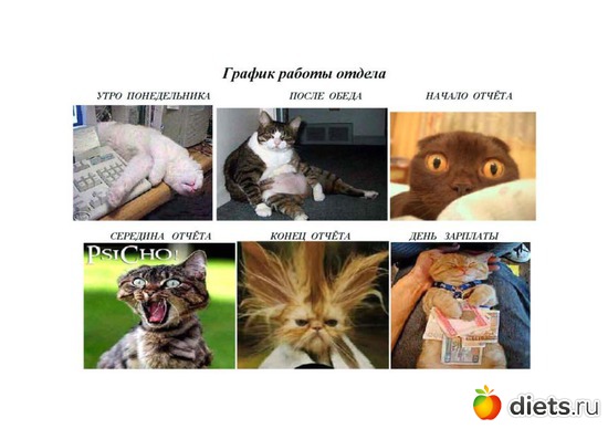 17 ����: ������