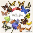    Lady-butterfly!(16.02)
