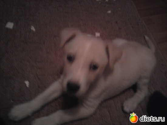 4 ����: ������-��������