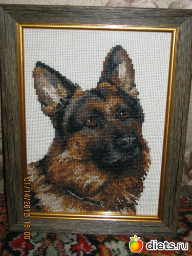 24 ����: ��� �������