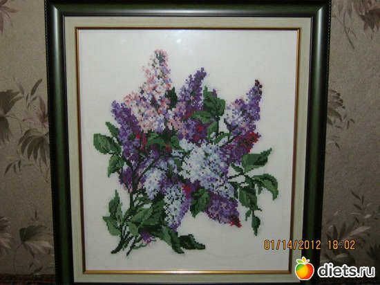 26 ����: ��� �������