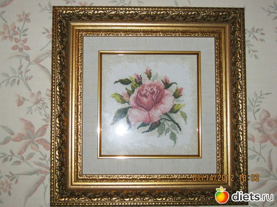 27 ����: ��� �������