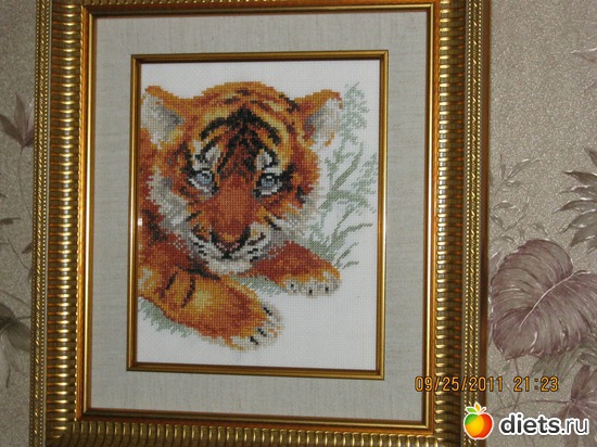 15 ����: ��� �������