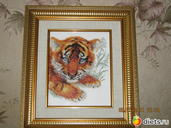 16 ����: ��� �������