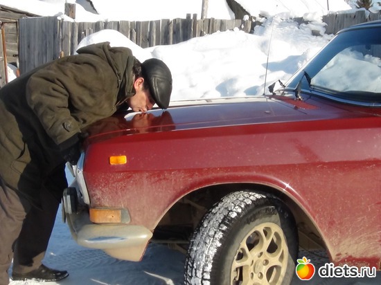 13 ����: ���� 2011-2012