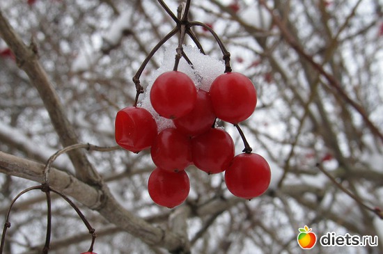 4 ����: ���� � ���� ������