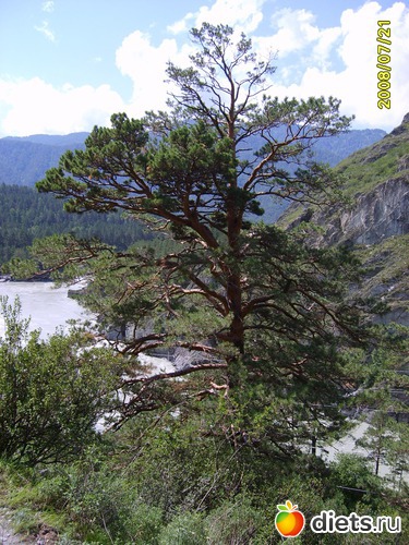 6 фото: горный алтай и я