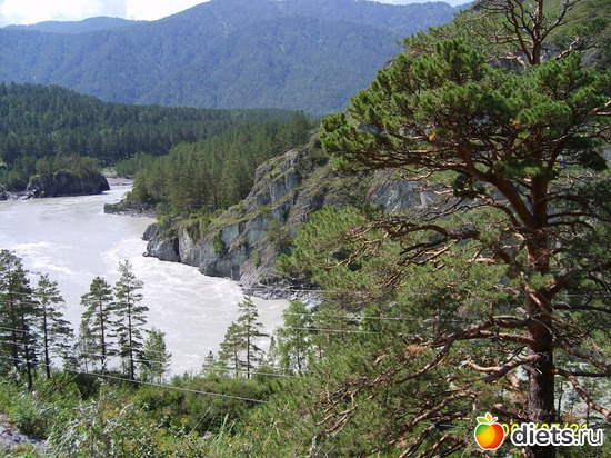 7 ����: ������ ����� � �