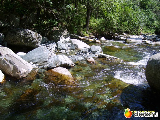 23 ����: ������ ����� � �