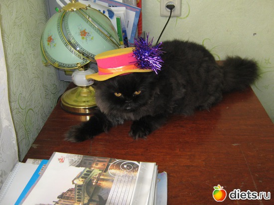 4 ����: ������ ��� �!