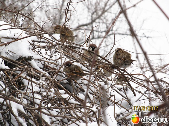 1 ����: ���� � ���� ������