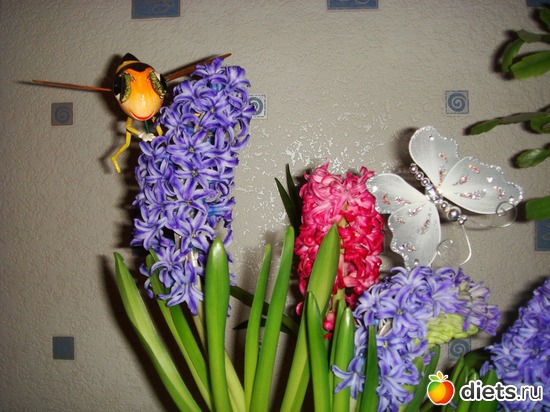 2 фото: весна-лето 2012