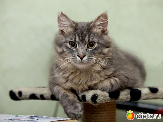 2 ����: ��� ������