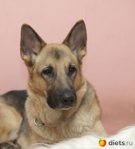 5 ����: ��� ������