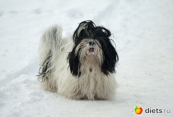 6 ����: ��� ������