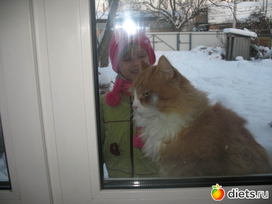 мороз, а меня на улицу!!!, альбом: любимый кот :)