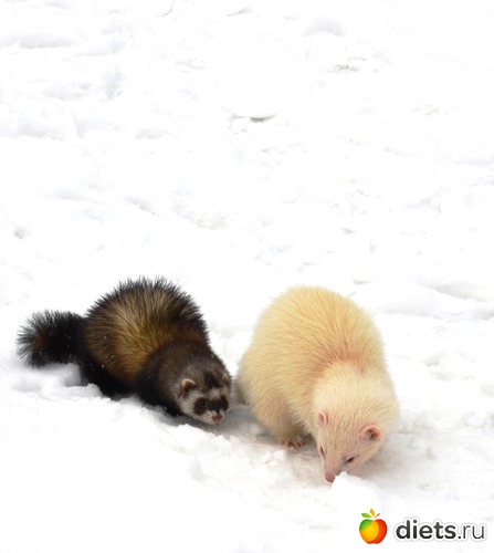 10 фото: Моя жизнь