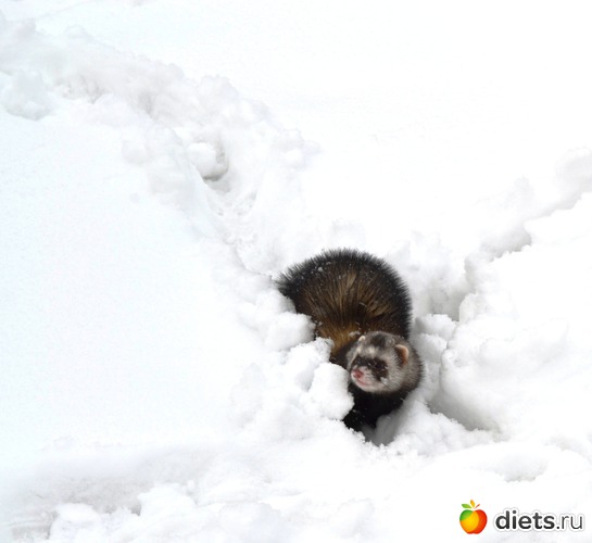 12 ����: ��� �����