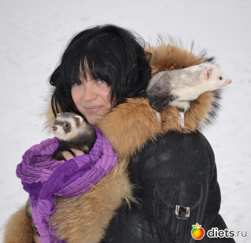 13 ����: ��� �����