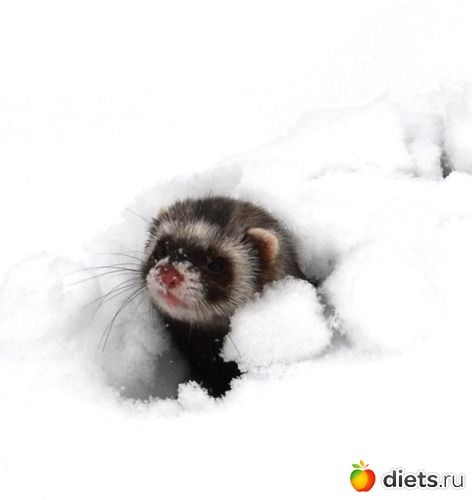 15 ����: ��� �����