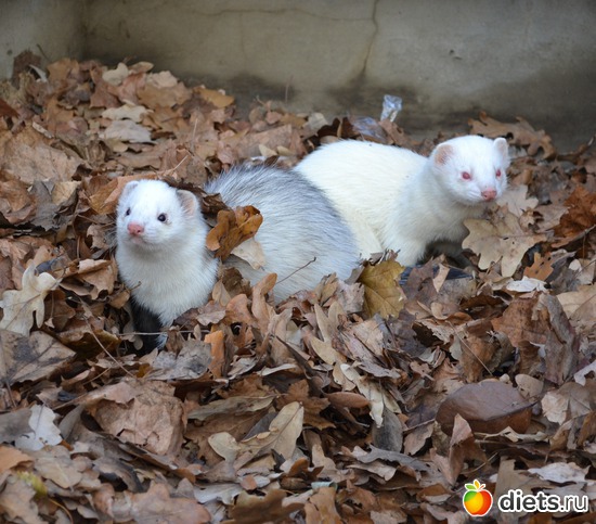 16 фото: Моя жизнь