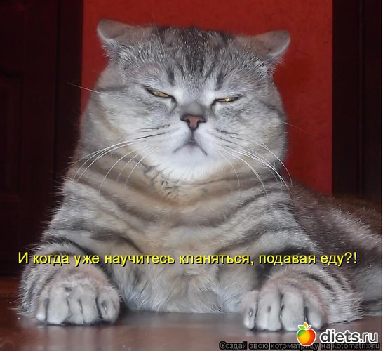 1 ����: ������� ��������