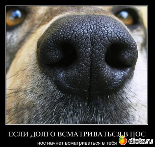 2, ������: ������� ��������