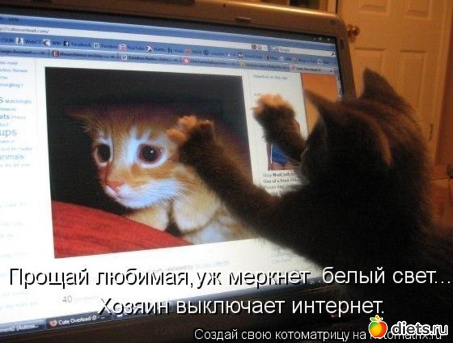 6, альбом: смешные картинки