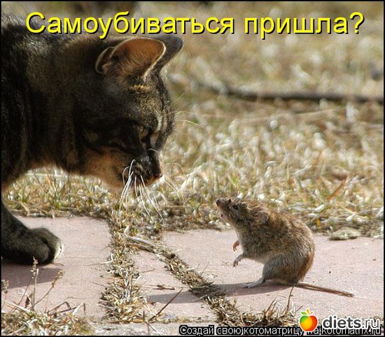 8, ������: ������� ��������