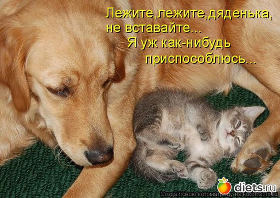 10, ������: ������� ��������