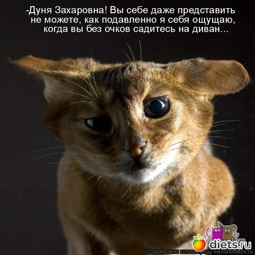 11, ������: ������� ��������