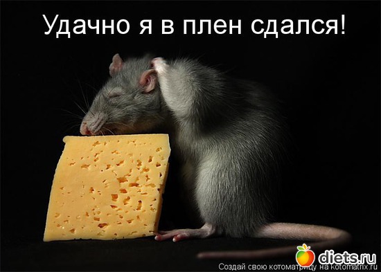 12, ������: ������� ��������