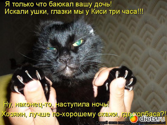 13, ������: ������� ��������