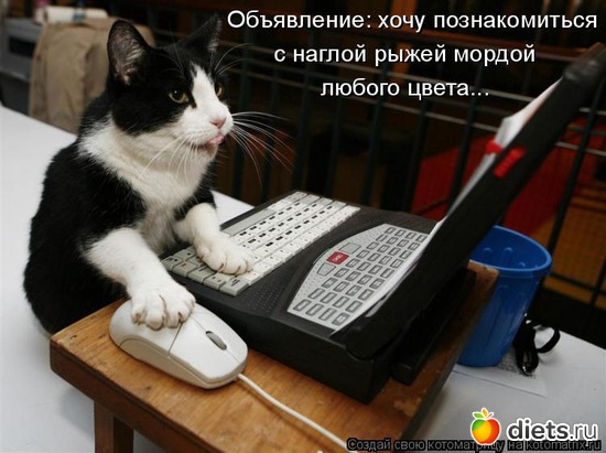 14, ������: ������� ��������