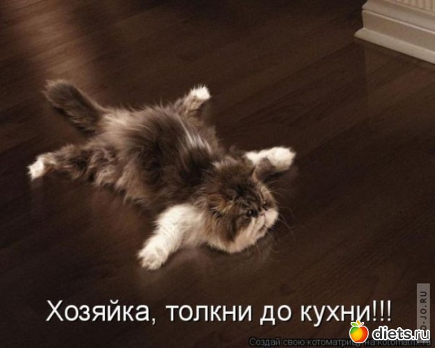 15, ������: ������� ��������