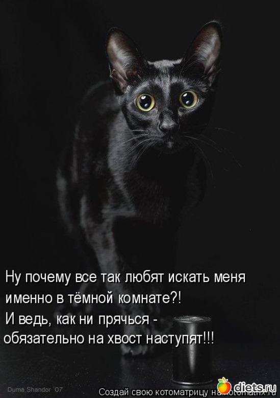 16, ������: ������� ��������