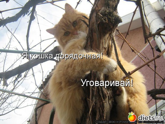 18, ������: ������� ��������